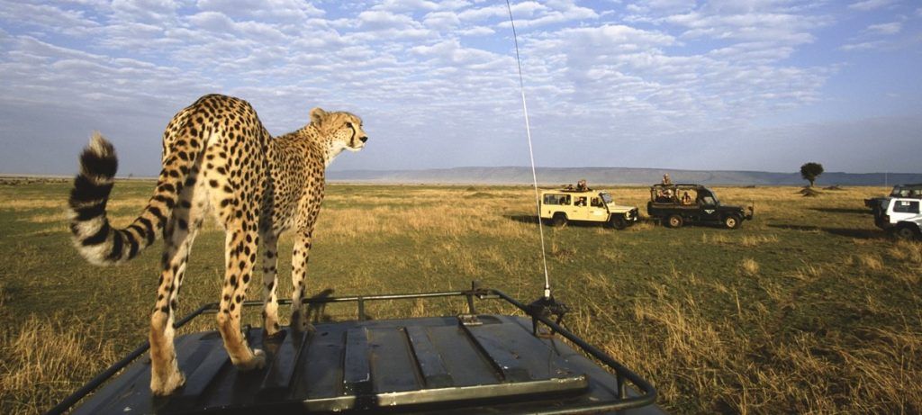 Maasai Mara National Park - one of the Major attractions in Kenya