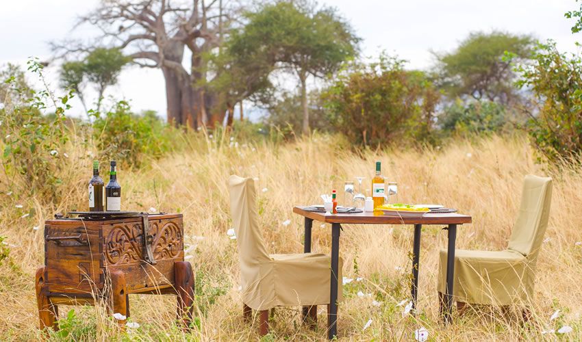 Tanzania Luxury Safaris