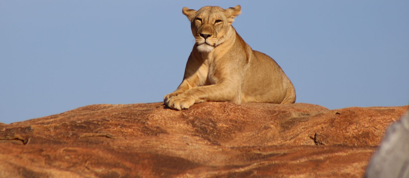 Tanzania travel packages