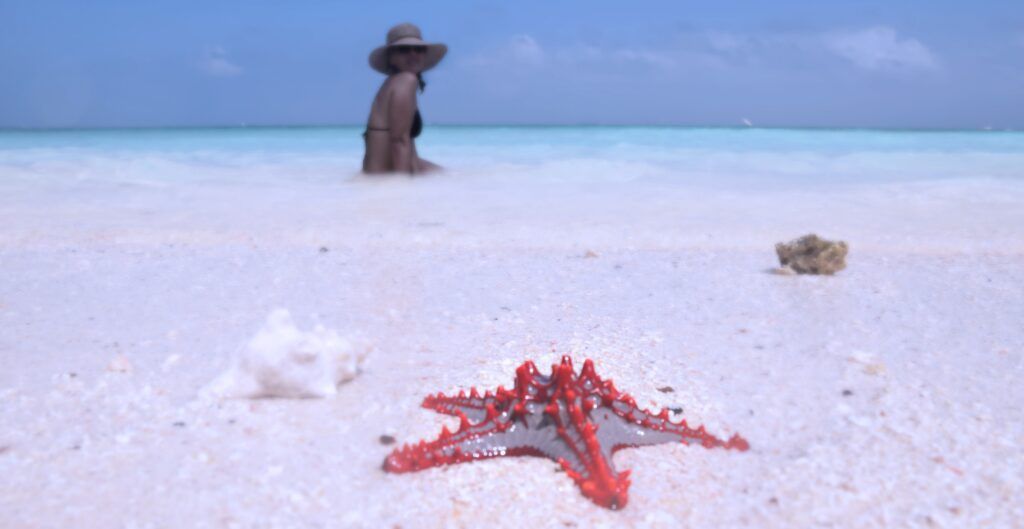 Woman watching a starfish on the sand on Kendwa Beach in Zanzibar - one of the best beaches in Tanzania 