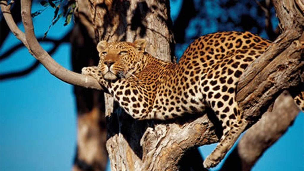 Best Time to Visit Mwingi National Reserve