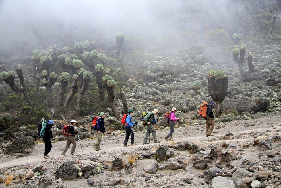 7 days Rongai route