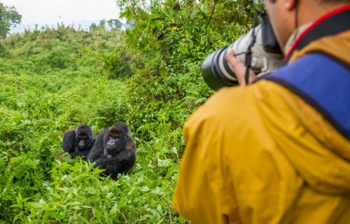 10 days experience Rwanda safari