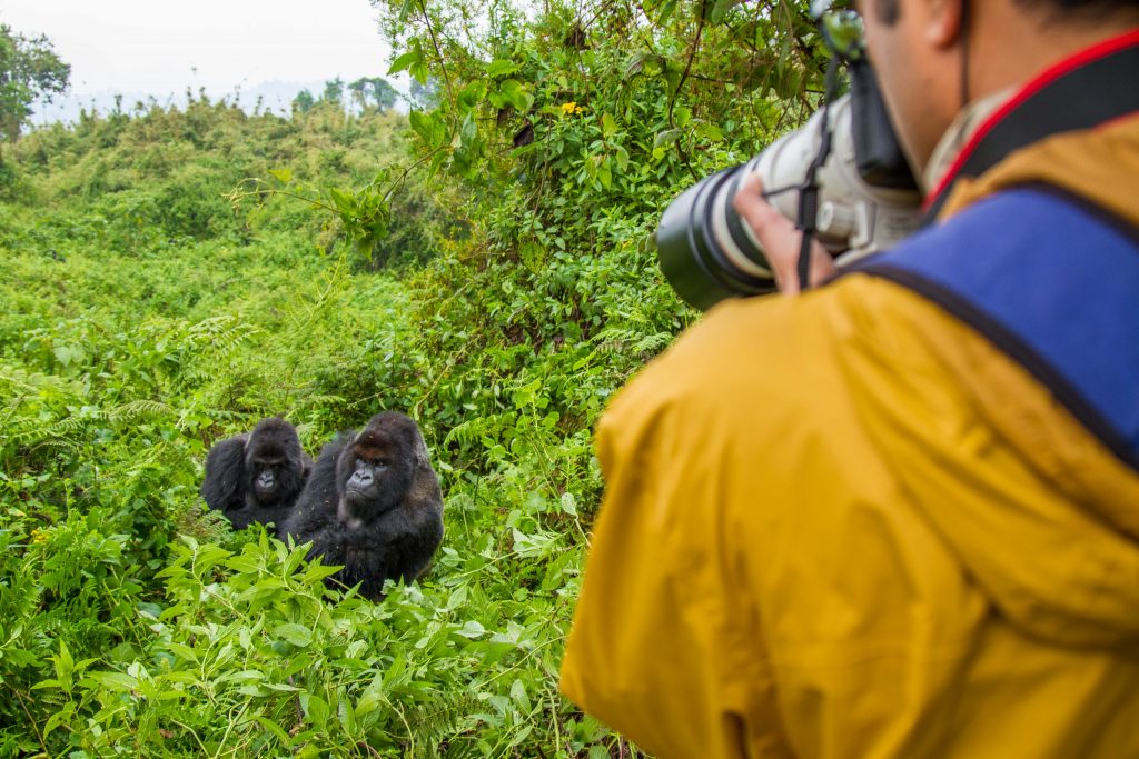 10 Days Experience Rwanda Safari