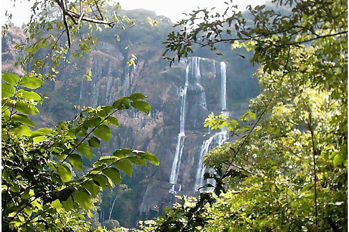 3 Days Adventure Safari to Udzungwa Mountains National Park