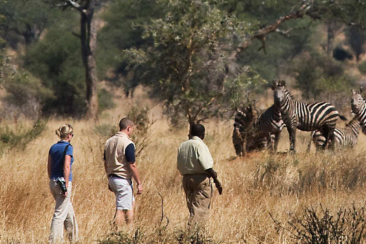 2 Days Tarangire National Park Safari