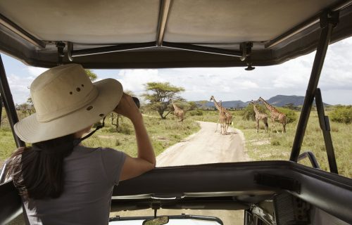 15 Days Best of Kenya & Tanzania Wildlife Safari Encounter