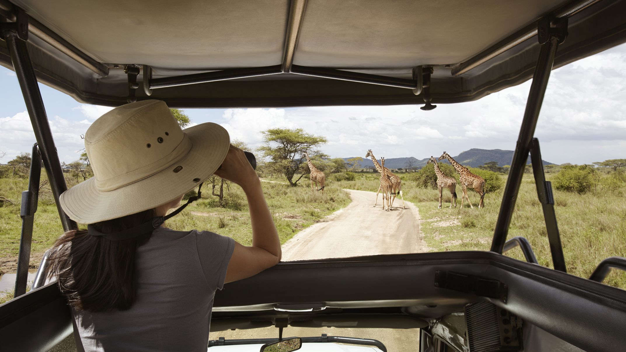 15 Days Best of Kenya & Tanzania Wildlife Safari Encounter