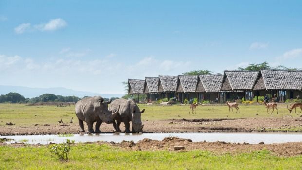Borana Conservancy