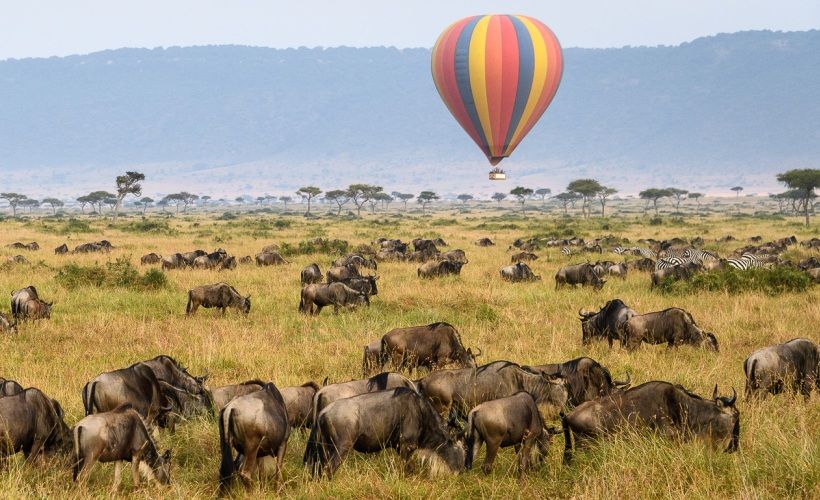 Tarangire Hot Air Balloon Safaris
