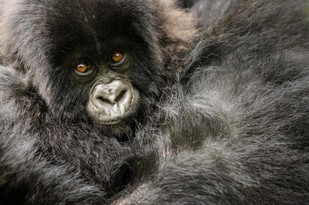 About Rwanda