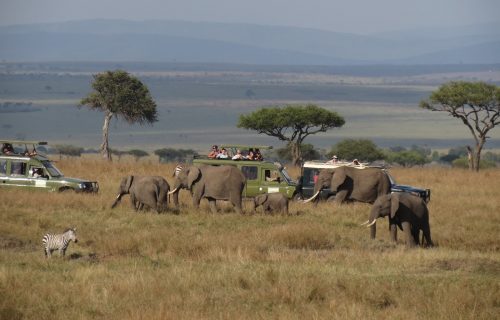 3 Day Samburu National Park Encounter Safari