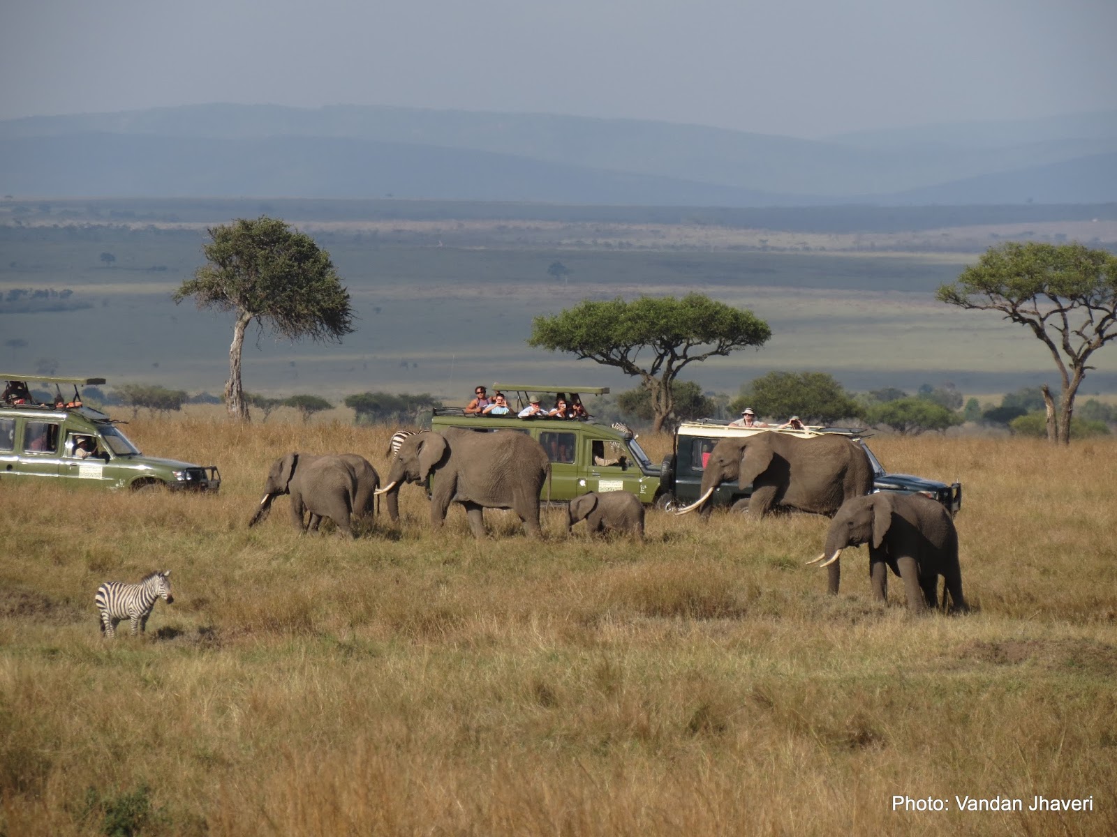 3 Day Samburu National Park Encounter Safari