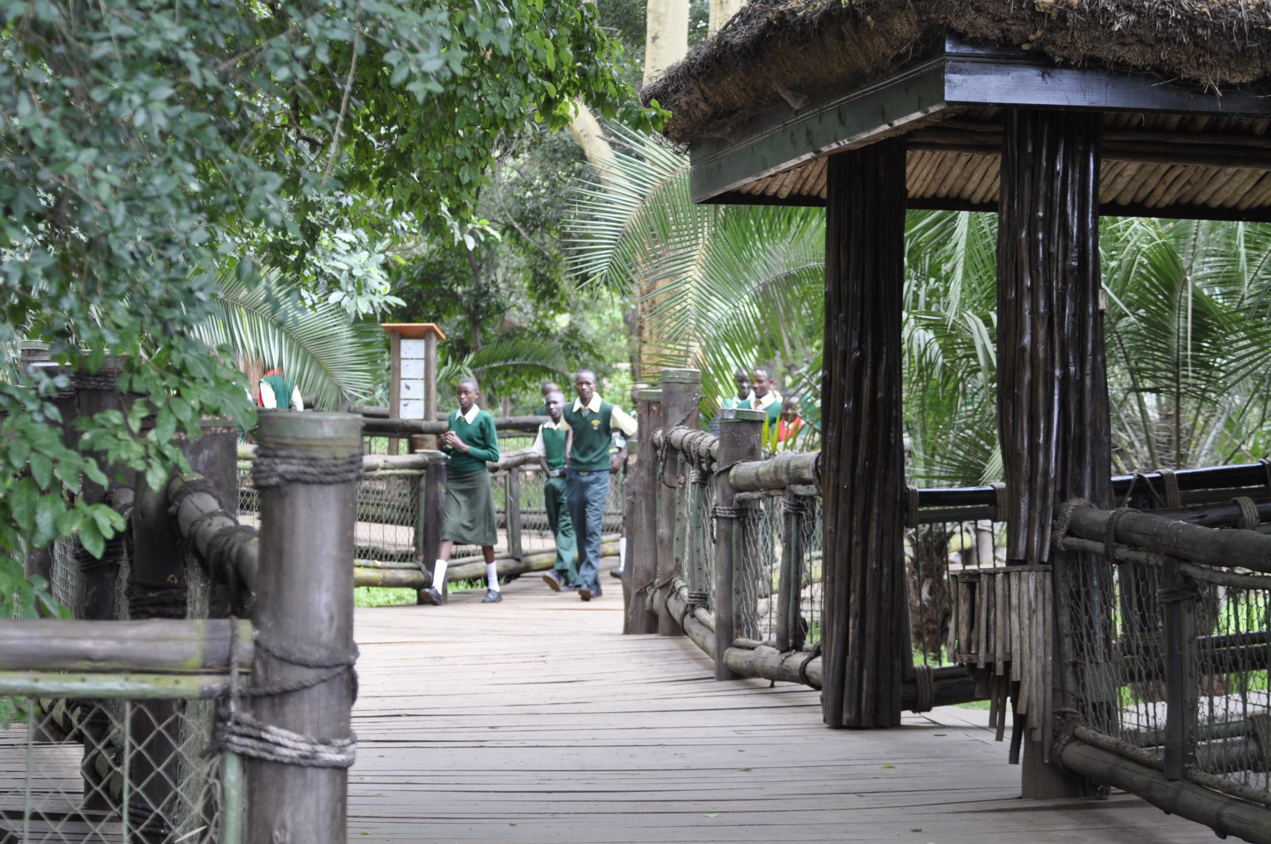 Half Day Guided Tour to Nairobi Safari Walk