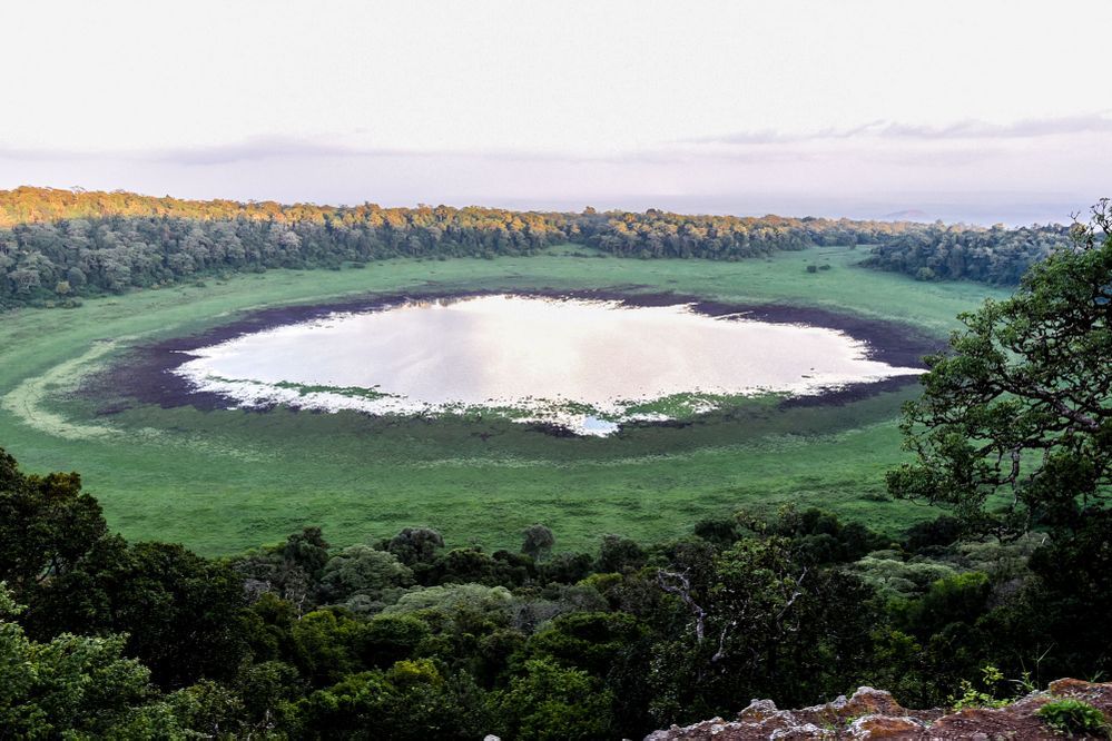 Safaris to Ngorongoro crater