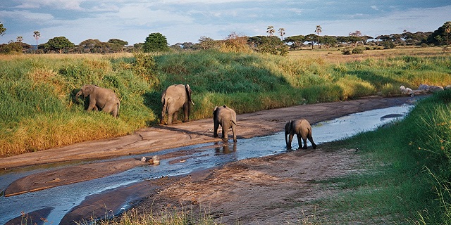 Attractions at Mwea National Reserve