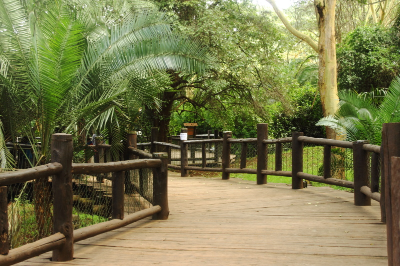 nairobi-animal-orphanage-enclose-africa-safaris