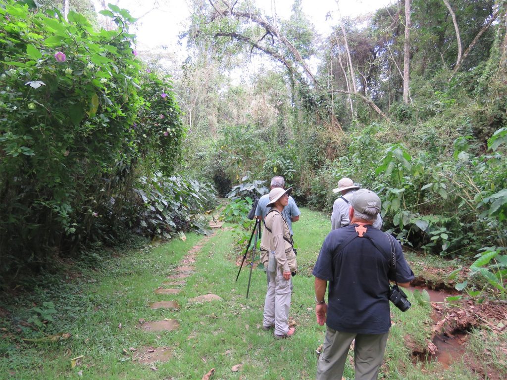 2 Day Kakamega Forest National Reserve Tour