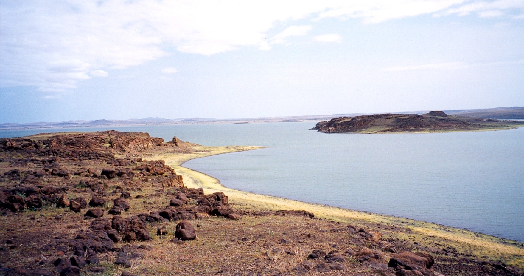 4 Days Game Safari in South Island National Park