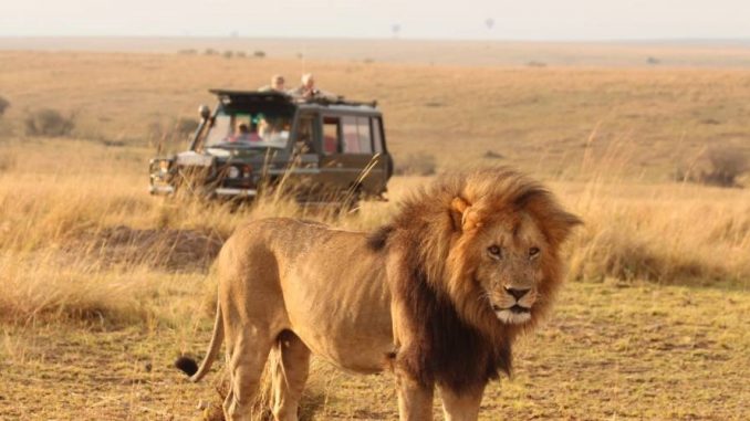 What to do in Masai Mara Reserve