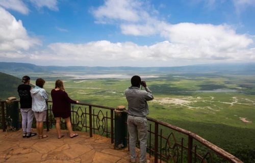 1 Day Ngorongoro Crater Tour