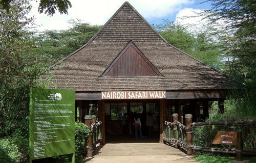 1 Day Nairobi Safari Walk, Animal Orphanage, & Bomas of Kenya Guided Tour