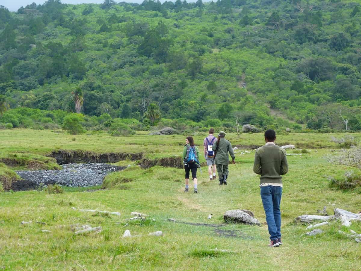 1 Day Arusha National Park Safari