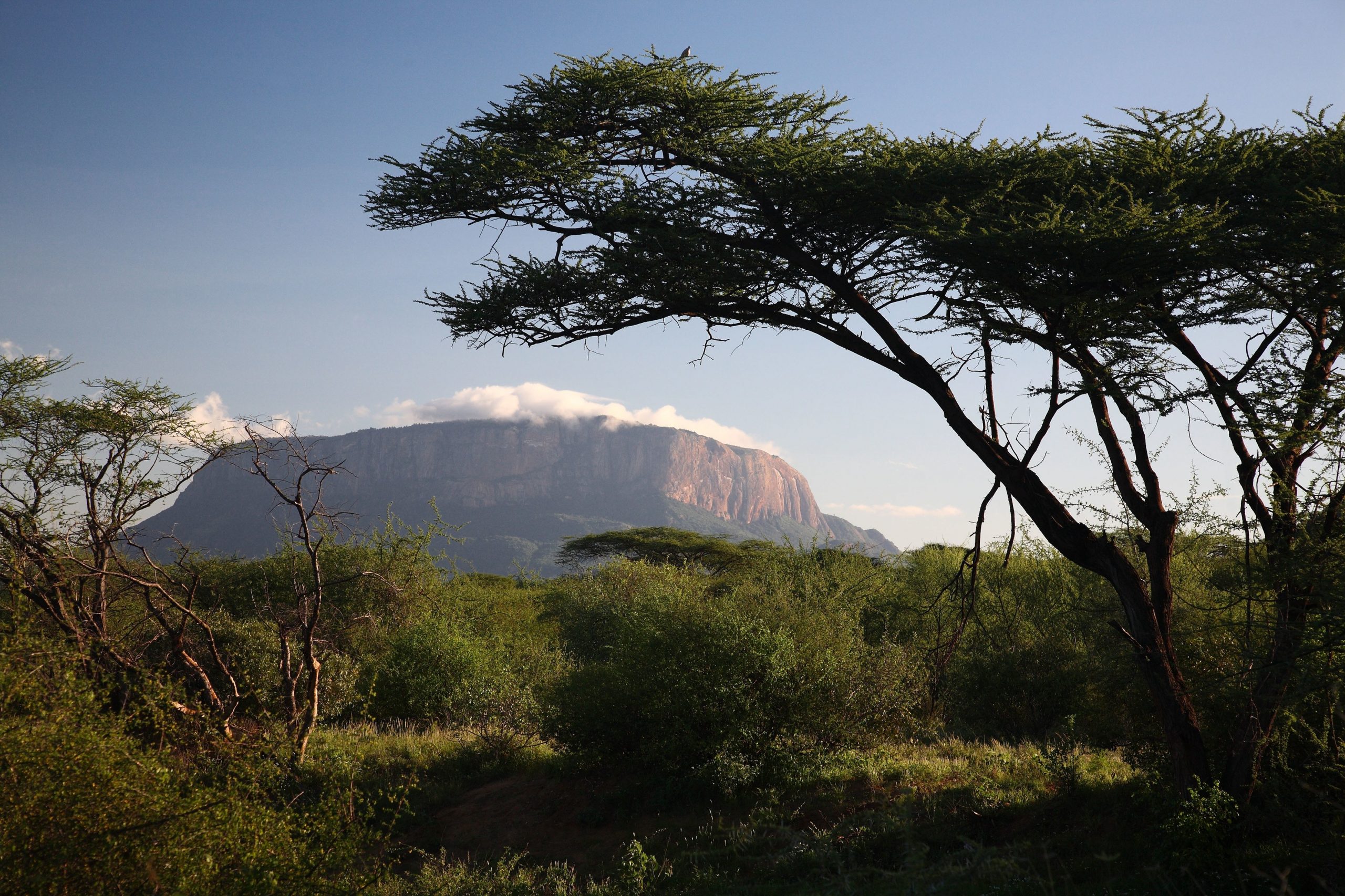 2 Day Samburu National Park Encounter Safari