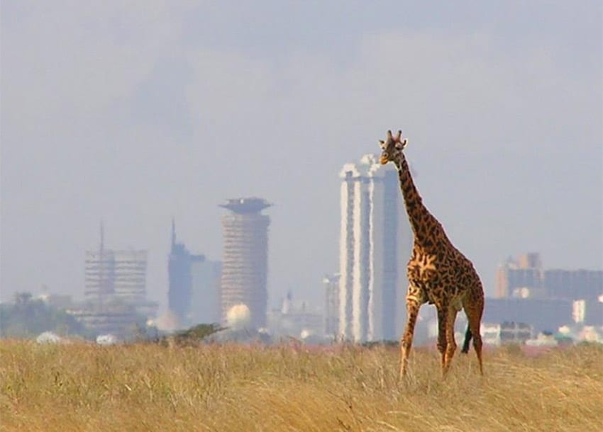 Accommodation in Nairobi National Park - Enclose Africa Safaris