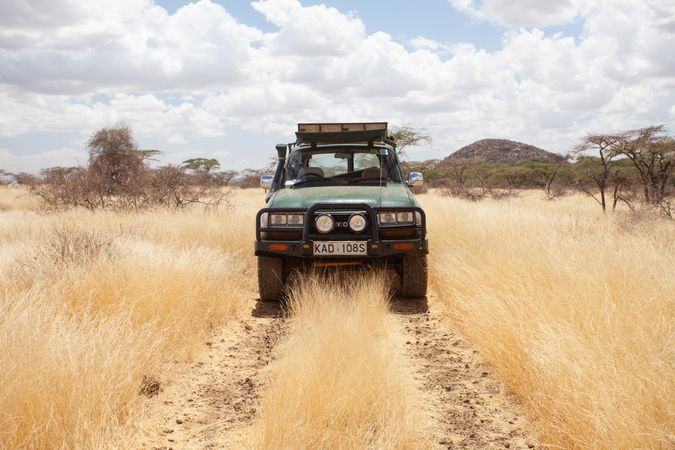 Mkokoni Wildlife Conservation Trust