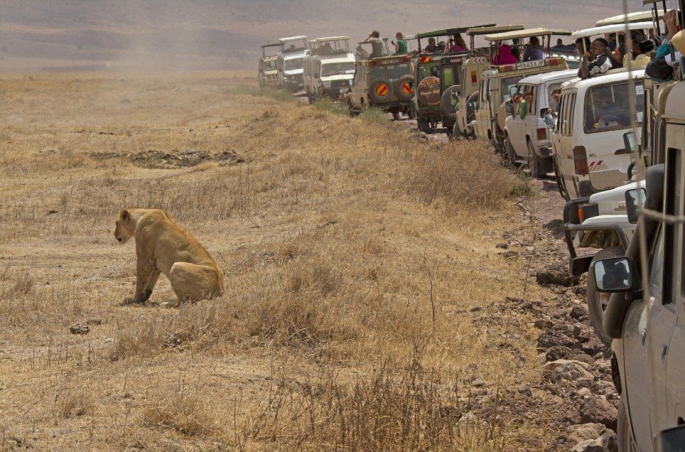 Ngorongoro Crater