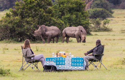 4 Days Wildlife Safari including Rhino Tracking in Solio Ranch