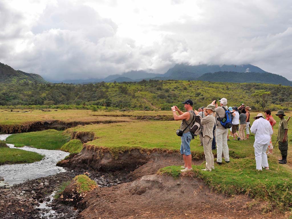 1 Day Arusha National Park Hiking