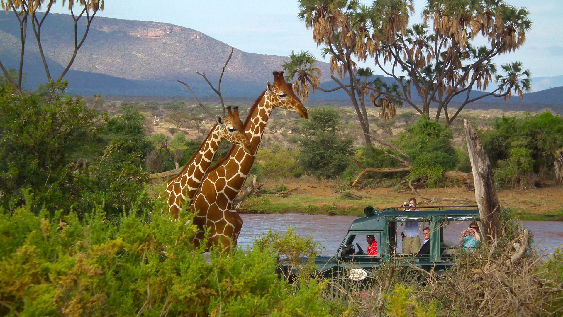 4 Days Game Viewing Safari in Shaba National Reserve