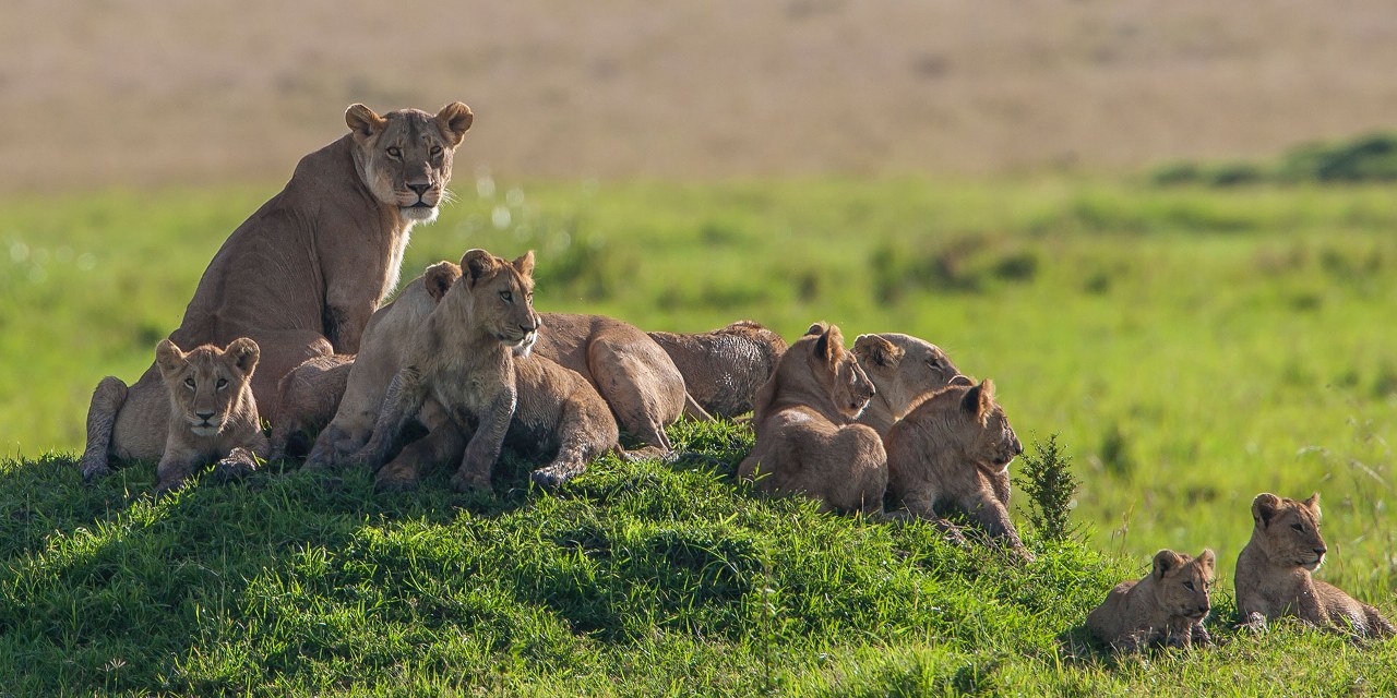 3 Days Adventure Safari in Sibiloi National Park