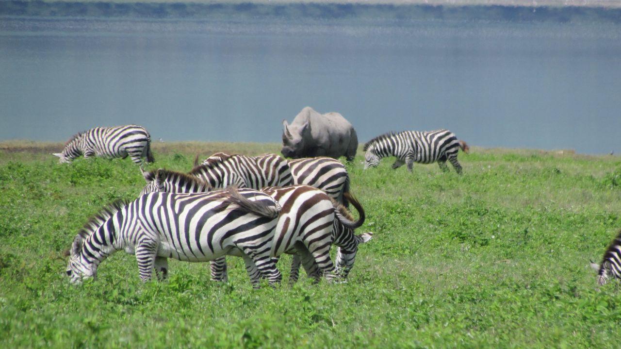 3 Days Best of Lake Manyara National Park Tour