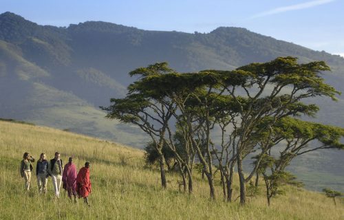 3 Days Tarangire, Lake Natron, and Ngorongoro crater