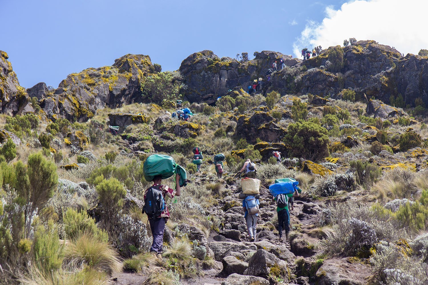 5 Days Marangu Route in Tanzania | Tanzania Mountain Hiking Tour.