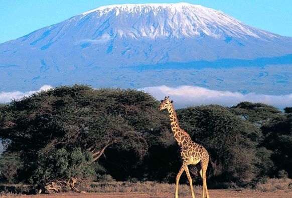 5 Days Marangu Route Kilimanjaro Climb