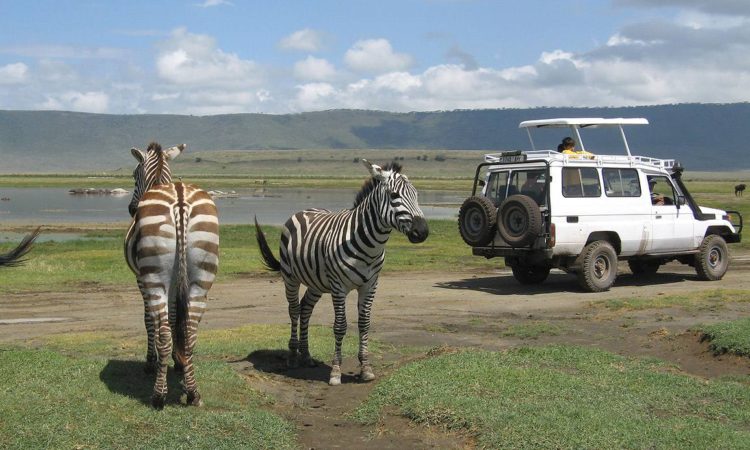 Ngorongoro Conservationa Area