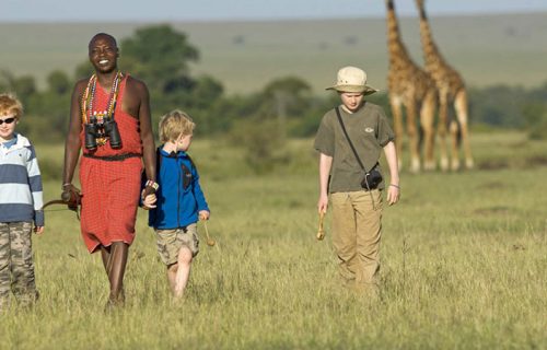 Tanzania Safaris is of the best destination for African Safaris