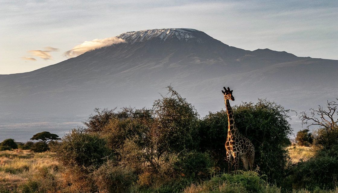 6 Days Machame Route Kilimanjaro Climb