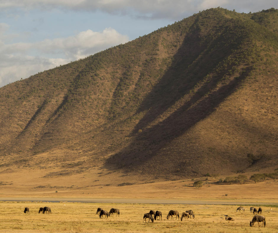 The Ngorongoro Crater: A Natural Wonder Of The World