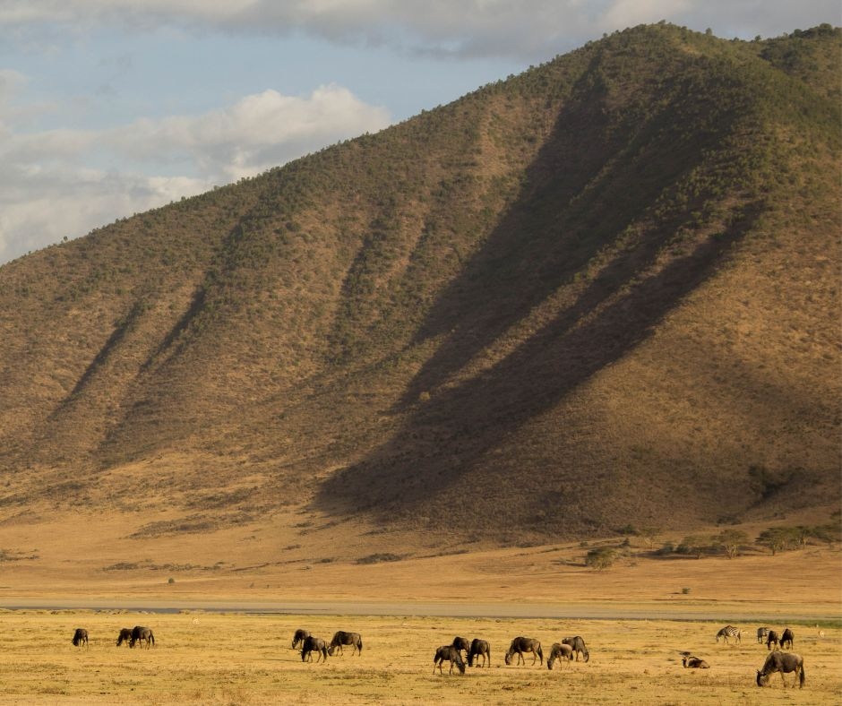 The Ngorongoro Crater - A Natural Wonder Of The World