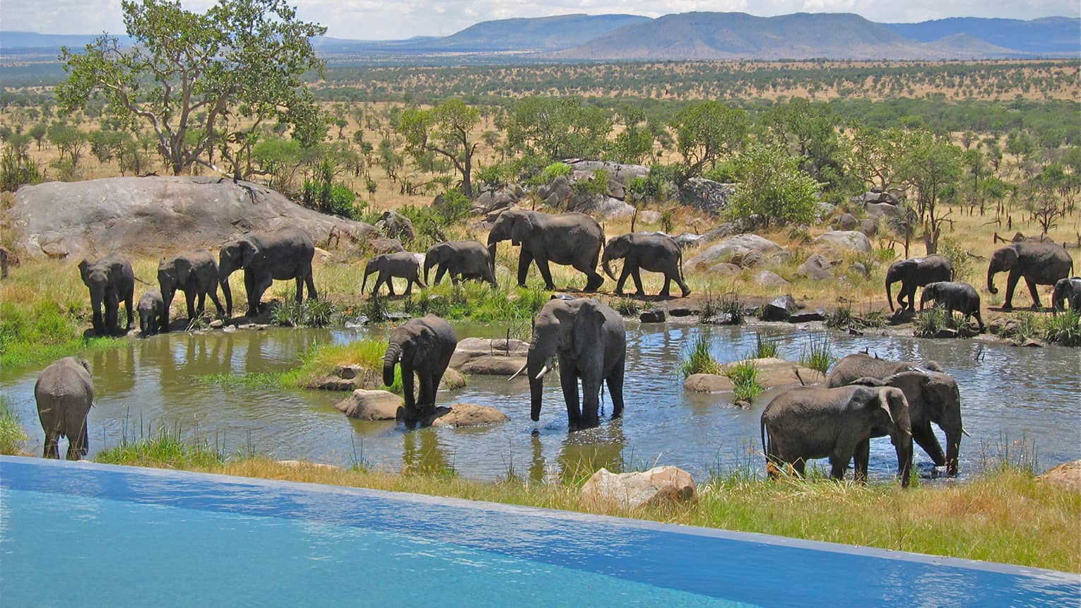 Four Seasons Serengeti