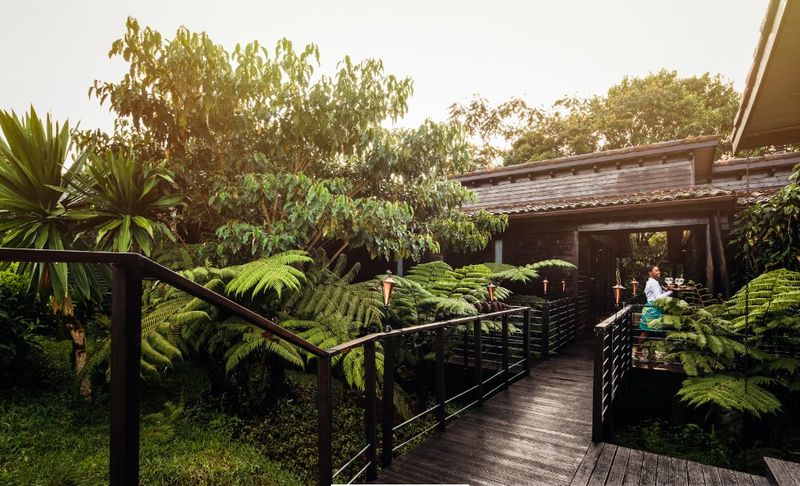 One & Only Nyungwe House