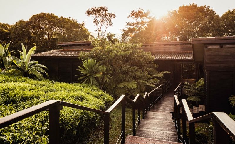 One & Only Nyungwe House