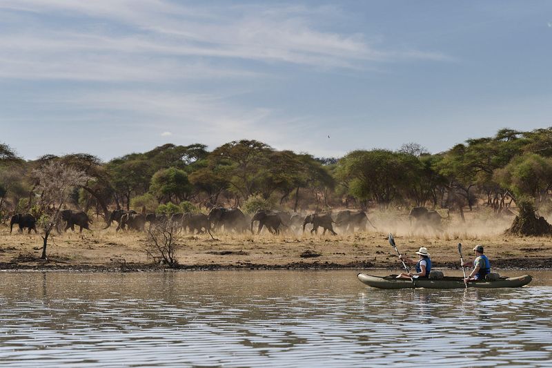 Sanctuary Swala Camp