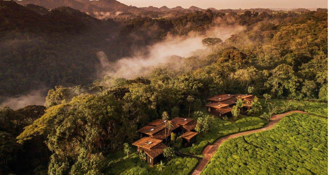 One & Only Nyungwe House