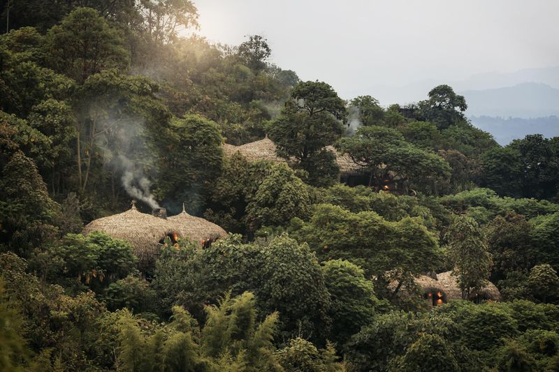 Wilderness Bisate Lodge
